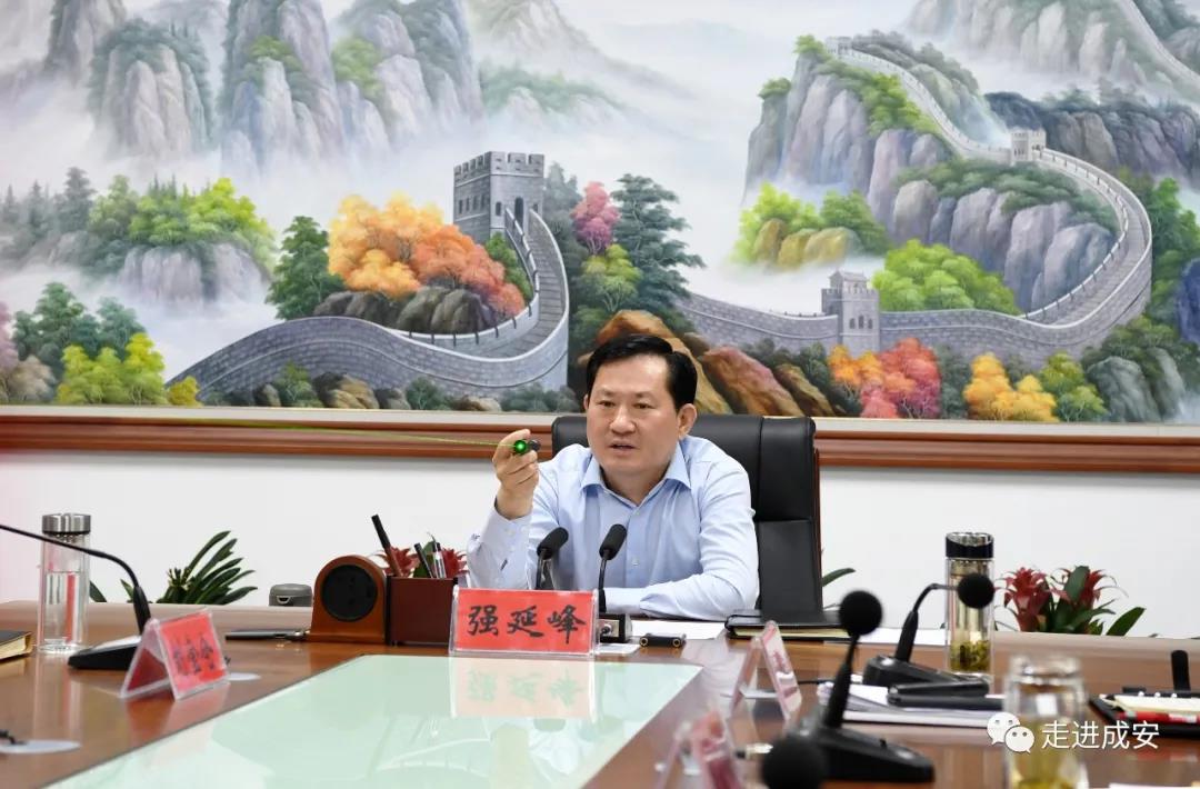 强延峰主持召开学校设计,邯大路景观提升规划汇报会_成安县人民政府